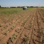 Apareció la menor buscada en Holmberg