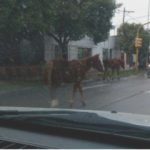 Detonaron una granada hallada en un baldío