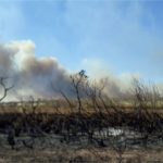 Preparativos para el Día del Niño