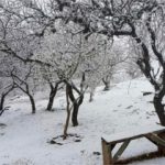 Buena evaluación del Hotel 1 de Embalse