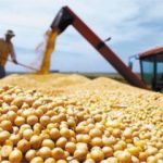 Uberti declaró que Cristina Kirchner vio los bolsos con  coimas