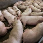 Larraburu complicó a Abal Medina, Ottavis y Larroque