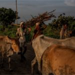 Indocumentado drogado apuñaló a 7 personas en París