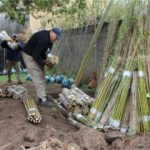 Primera cirugía de adecuación anatómica en Córdoba