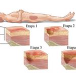 Ya llega la Feria del Libro