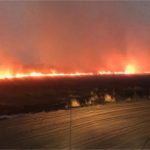 El Banco Central anunció la tercera etapa para desarmar las Lebac