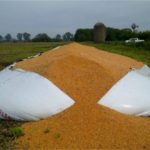 Alerta meteorológica para el este provincial