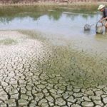 Se entregaron los Premios al Comercio 2018