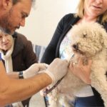 Los empleados municipales recibirán un bono