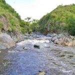 Mañana llegan los cedulones municipales, con aumento