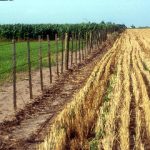 Exfuncionario K reconoció coima por 230.000 euros y red de lavado de activos