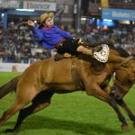 Impulsan proyecto para que Córdoba adhiera a la «Ley Micaela»