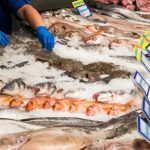 Más de 1.300 mujeres participaron del Programa de Formación Política