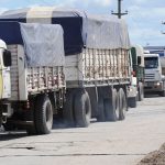 La Terminal de Ómnibus de Córdoba habilitó sus nuevos pasillos rodantes