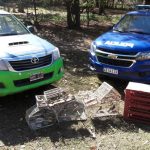 Mes de los Jardines de Infantes