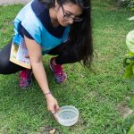 El domingo habrá transporte interurbano gratuito