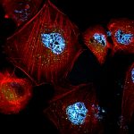 Clausuran geriátrico en el oeste de la ciudad