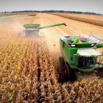 Aumentó 16,4 % el turismo extranjero en el país