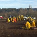 Comenzó la Semana del Ambiente 2019