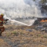 Premio de Pintura Bancor: 30 de agosto finalizan inscripciones