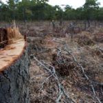 Promulgan la Ley que crea el Fondo de Asistencia a Víctimas de Trata