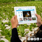 Gran cantidad de inscriptos en las convocatorias de artes escénicas