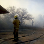 Plantan especies por el Día del Árbol