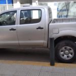 Miles de castraciones gratuitas