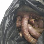 PIP: más del 60% de los profesionales quedó empleado tras el periodo de práctica