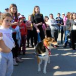 Reconocimientos a docentes y directivos