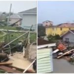 El Gobierno amplió la quita del IVA a monotributistas