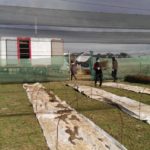 Japón da por terminada la alerta sanitaria de un mes y medio e intenta regresar a la normalidad