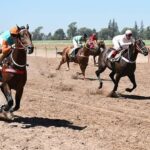 Desarrollo Social profundiza su asistencia en el sur provincial