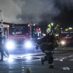 Una Produccion con 32000 plantines de Verduras y Hortalizas