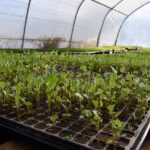 «Murieron cumpliendo el espiritu innato del bombero», dijo el jefe de Bomberos porteño