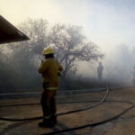 África: un destino estratégico para las exportaciones del sector agroindustrial