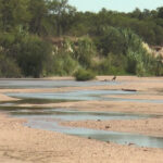 La Provincia convoca a personas voluntarias para colaborar en el proceso de diagnóstico de COVID-19 en Rio Cuarto
