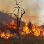 Operativo «Identificar» en Las Higueras