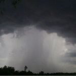 Comunicado Subsecretaria de Género, Niñez, Adolescencia y Familia