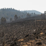 Clubes de Rio Cuarto recibieron asistencia económica