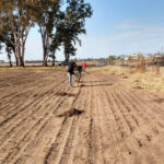 LA PROVINCIA PRESENTÓ DENUNCIA POR VENTA DE TERRENOS AFECTADOS POR INCENDIOS