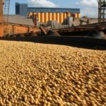 Comenzó el ciclo de capacitaciones sobre expediente digital