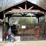 Llamosas presentó el proyecto para construir un Polideportivo Municipal en Banda Norte