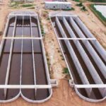 La OEA no observó fraude en las elecciones estadounidenses