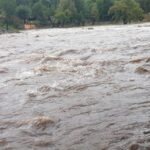 Gimnasia y Talleres protagonizaron un empate que no le sirve a ninguno