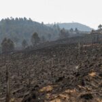 Reporte epidemiológico actualizado
