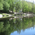 Proclamación de autoridades