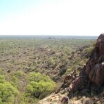 Rosario Central derrotó a Patronato