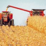 Ya son 16.768 las personas vacunadas por coronavirus en la provincia