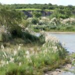 Llegaron nuevas dosis de Sputnik V al Hospital